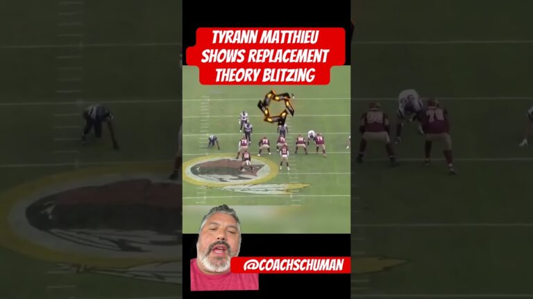 Tyrann matthieu shows replacement theory blitzing